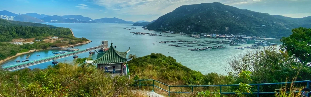 Unveiling Hong Kong's Hidden Gems: Attractions and Activities for Every Traveler